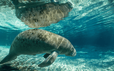 6 Best Things You Need to Know about in Central Florida
