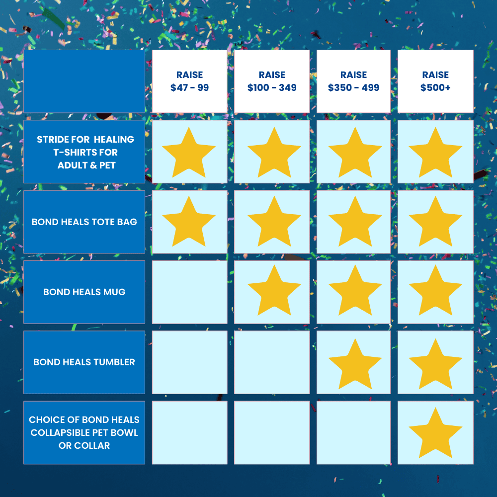 Individual Prizes Stride for Healing