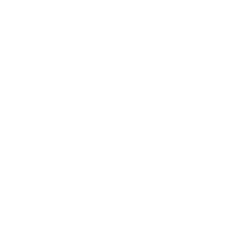 WP Star