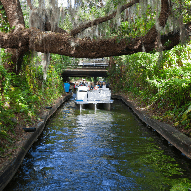 wp boat tour
